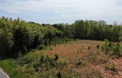 X Springfield Road, Pilot Mountain, NC 27041
