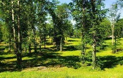 4018 Cleveland Road E, Huron, OH 44839