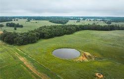 000 Farm Road 1200, Other, MO 65633