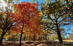 3 Hawk Nest Trail, Long Lane, MO 65590
