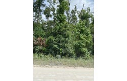 NE 173rd Ave, Old Town, FL 32628