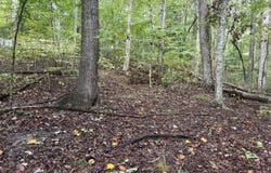99 Dogwood Trail, Nancy, KY 42544
