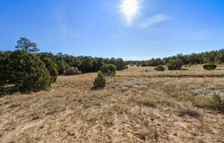 25 Holiday, Tijeras, NM 87059