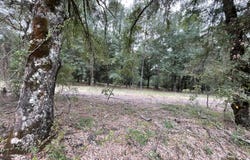 Warbonnet Road lot: D, Salley, SC 29137