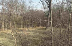 107 Scarlet Court, Washington, IL 61571