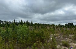 Cactus Hill Road, Roberta, GA 31078