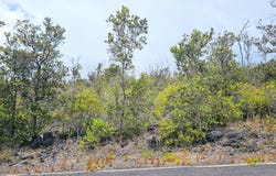 Ocean View, HI 96737