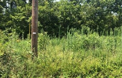 Lot 19 Lockhart  LN, Bella Vista, AR 72715