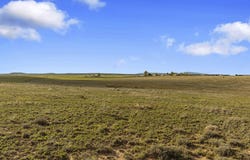 49 Cayetano Road, Moriarty, NM 87035