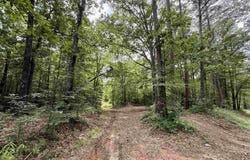 Hwy 9 County Road 92, Cedar Bluff, AL 35959