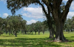 TBD SE 157TH STREET RD, SUMMERFIELD, FL 34491