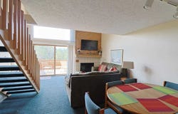 4749 S PLEASANTVIEW UNIT 48, HARBOR SPRINGS, MI 49740