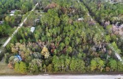 3911 EVERGREEN AVENUE, BUNNELL, FL 32110