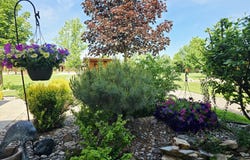 46 Eagle Way, Blanchard, ID 83804
