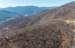 1376D WYATT MOUNTAIN RD, DYKE, VA 22935