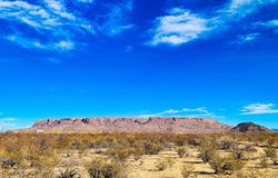 15014 Red Dawg Road, Terlingua, TX 79852