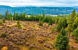 Nka Lisa Road (35 Acres), Harrison, ID 83833