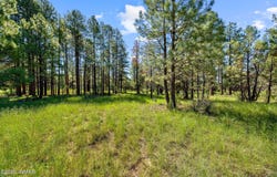 2877 Turkey Trail, Overgaard, AZ 85933