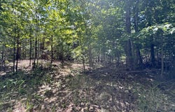 Par 5 Needles Road, Indian River, MI 49749