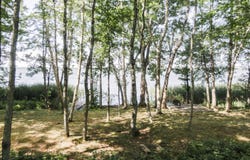 106 Shady Lane, Newport, ME 04953