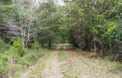 Willow Creek Drive, Oglethorpe, GA 31068