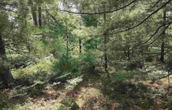 Lot 186 Winterset Drive, Alger, MI 48610