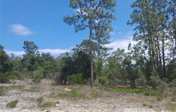 2211 SE STATE ROAD 121, MORRISTON, FL 32668