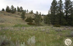 N Harrier Rd. lot: 71, Reed Point, MT 59069