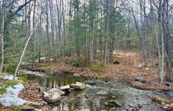 1301 Milo Road, Sebec, ME 04481