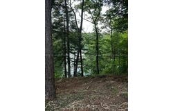 SIPSEY OVERLOOK Dr lot: #55, Double Springs, AL 35553