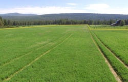 Nna US-95, Bonners Ferry, ID 83805