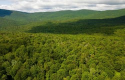 Albin Hill, Bethel, VT 05060