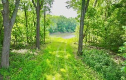 Tbd Range Ln. Tract 5, Unincorporated, MO 65556