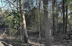 CR 3324, Pittsburg, TX 75686