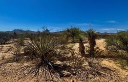 NC 261 Romero Rd, Terlingua, TX 79852