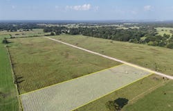 P2l13 County Road 463, Mexia, TX 76667