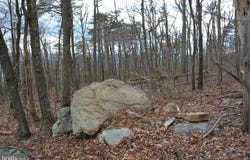 ROCKWOOD TRAIL, WINCHESTER, VA 22602