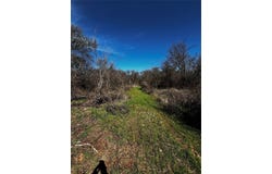 382 High Plains Court, Bellevue, TX 76230