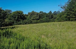 7485 Aurora Hwy, Aurora, KY 42025
