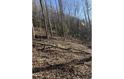 6020 Forge Creek Road, Mountain City, TN 37683