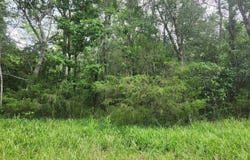 TBD Markerville Road, Story, AR 71970-9999