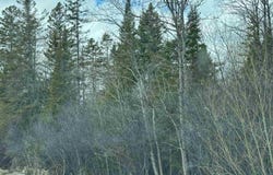 US 2 Highway, Escanaba, MI 49829