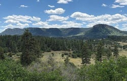 311 E Arbol Park Drive, Pagosa Springs, CO 81147