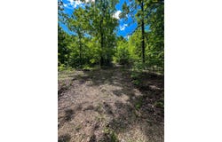 Gatewood Mo, Gatewoood, MO 63942