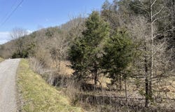 1028 East Pumpkin Valley Road, Eidson, TN 37731