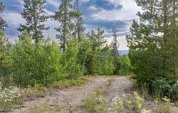 2833 Lions Lane, Tabernash, CO 80478
