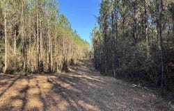 Straw Bridge Rd lot: 59, Jay, FL 32565