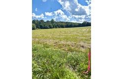 000 Tbd County Road 900, Theodosia, MO 65761