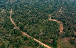 Lot 4 Private Road 4601, Waelder, TX 78959