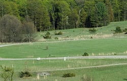 Alden Meadows lot: 43, Alden, MI 49612